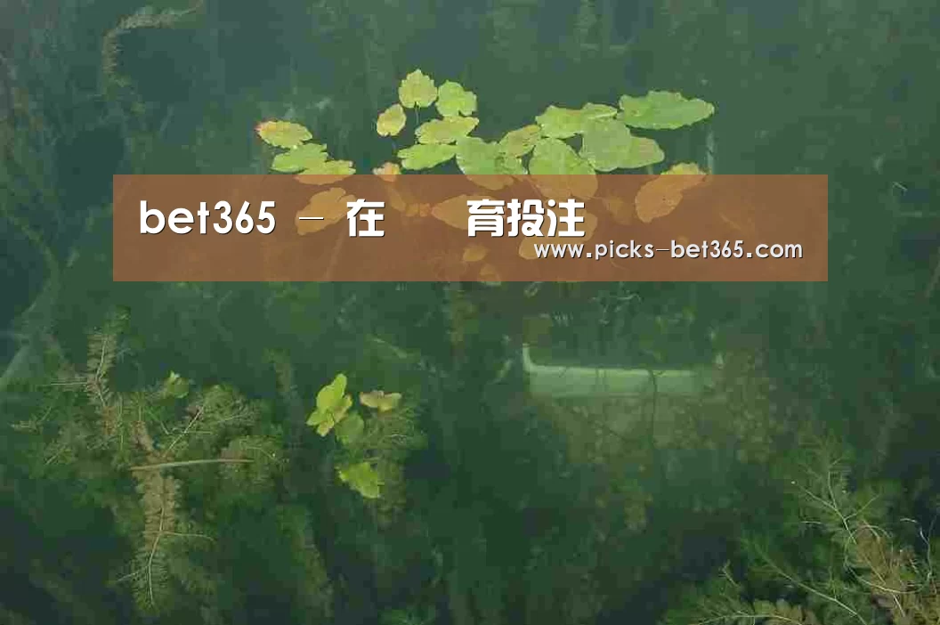 案例展示三