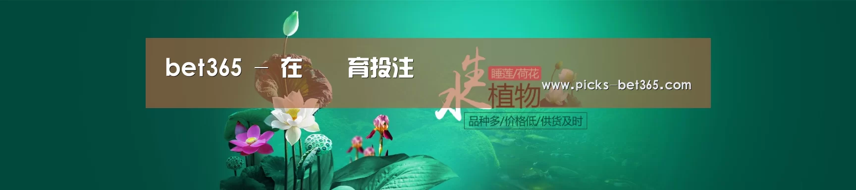 鲜花水草花卉网站模板
