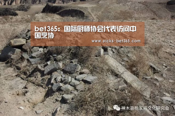 bet365:国际厨师协会代表访问中国烹协(图2) bet365体育app