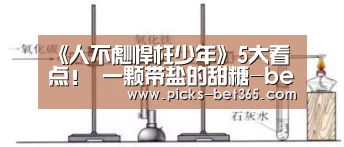 bet365体育app