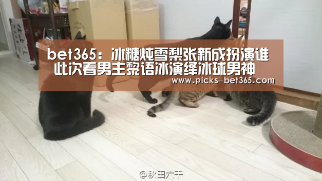 bet365体育app